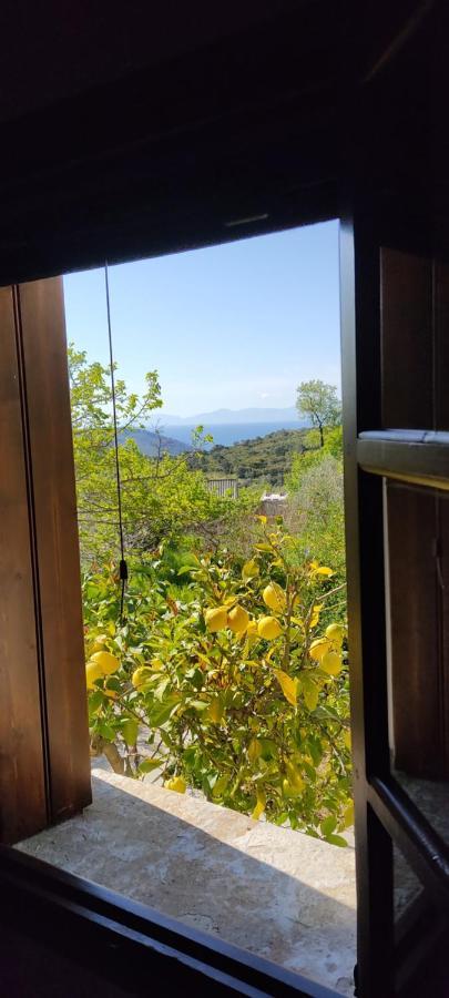 Alikias Country House Panormos  Экстерьер фото