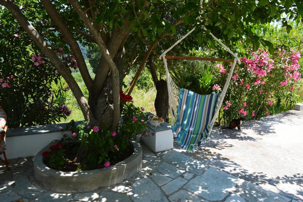 Alikias Country House Panormos  Экстерьер фото