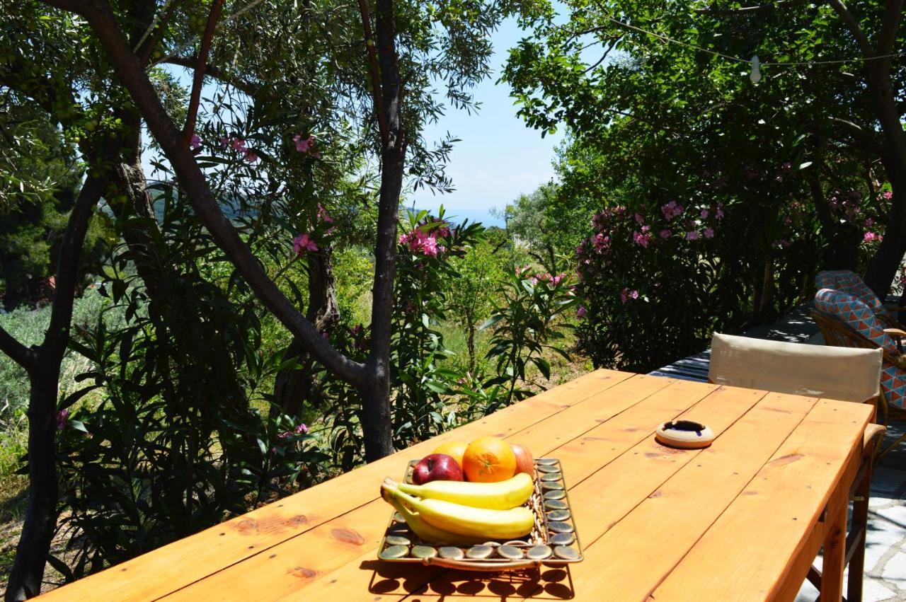 Alikias Country House Panormos  Экстерьер фото