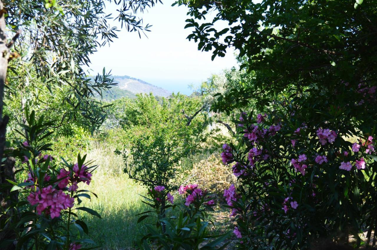 Alikias Country House Panormos  Экстерьер фото