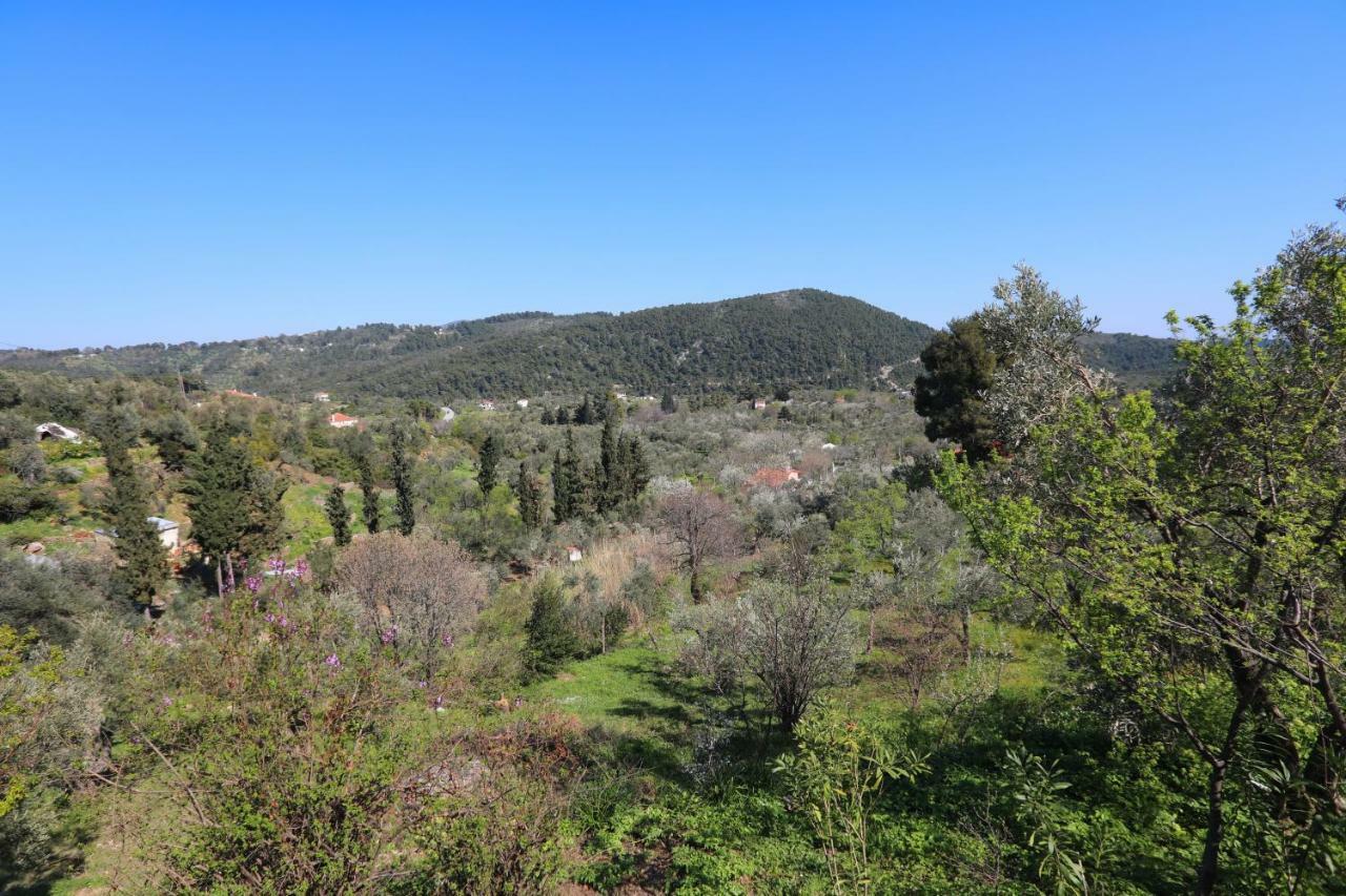 Alikias Country House Panormos  Экстерьер фото